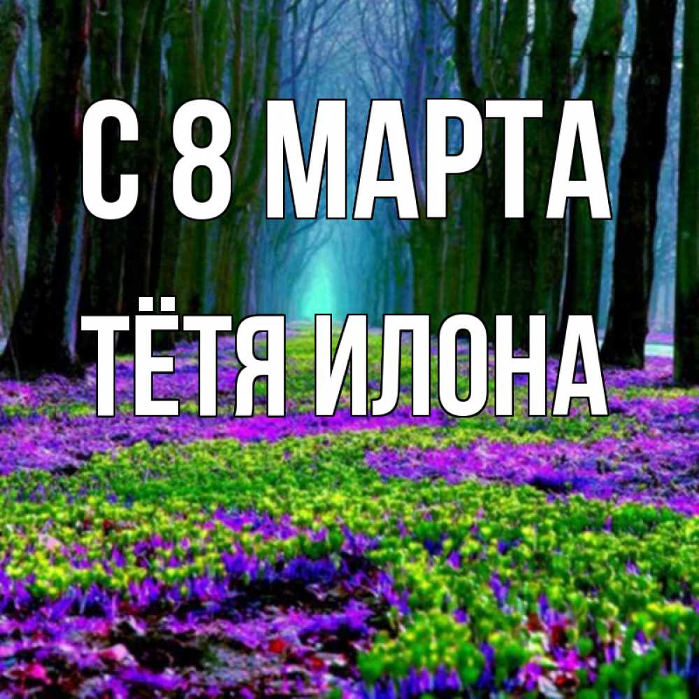 Открытка на каждый день с именем, Тётя-Илона С 8 МАРТА фиолетовые цветы в лесу 1 Прикольная открытка с пожеланием онлайн скачать бесплатно 