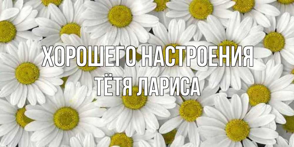 Открытка на каждый день с именем, Тётя-Лариса Хорошего настроения поляна ромашек Прикольная открытка с пожеланием онлайн скачать бесплатно 