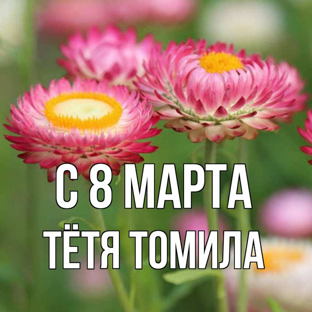 Открытка на каждый день с именем, Тётя-Томила С 8 МАРТА подарок на международный женский день Прикольная открытка с пожеланием онлайн скачать бесплатно 