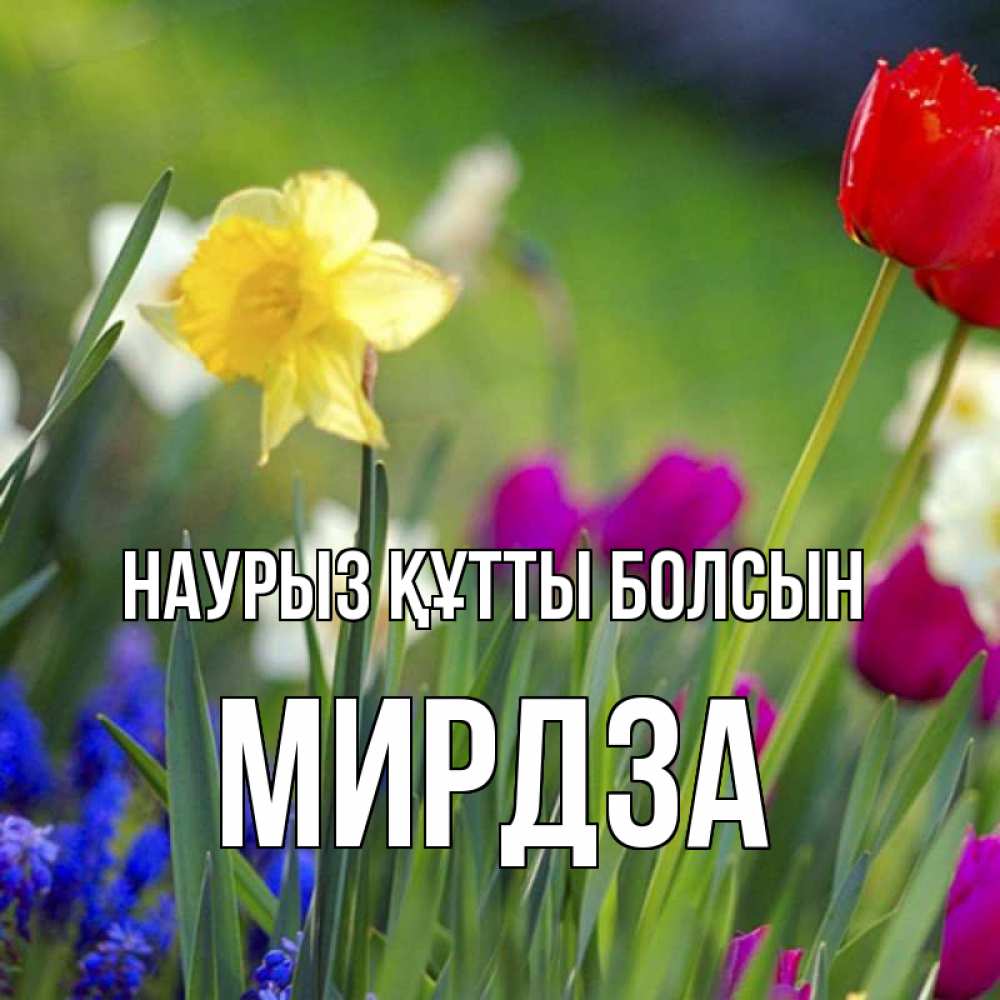 Открытка на каждый день с именем, Мирдза Наурыз құтты болсын наурыз  3 открытки Прикольная открытка с пожеланием онлайн скачать бесплатно 