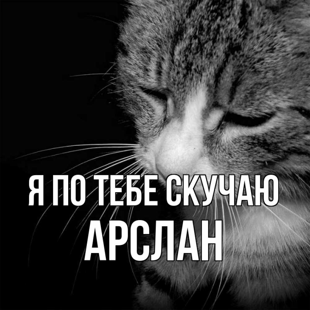 Открытка на каждый день с именем, Арслан Я по тебе скучаю мне скучно Прикольная открытка с пожеланием онлайн скачать бесплатно 