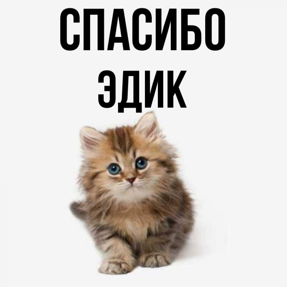Спасибо вера открытка
