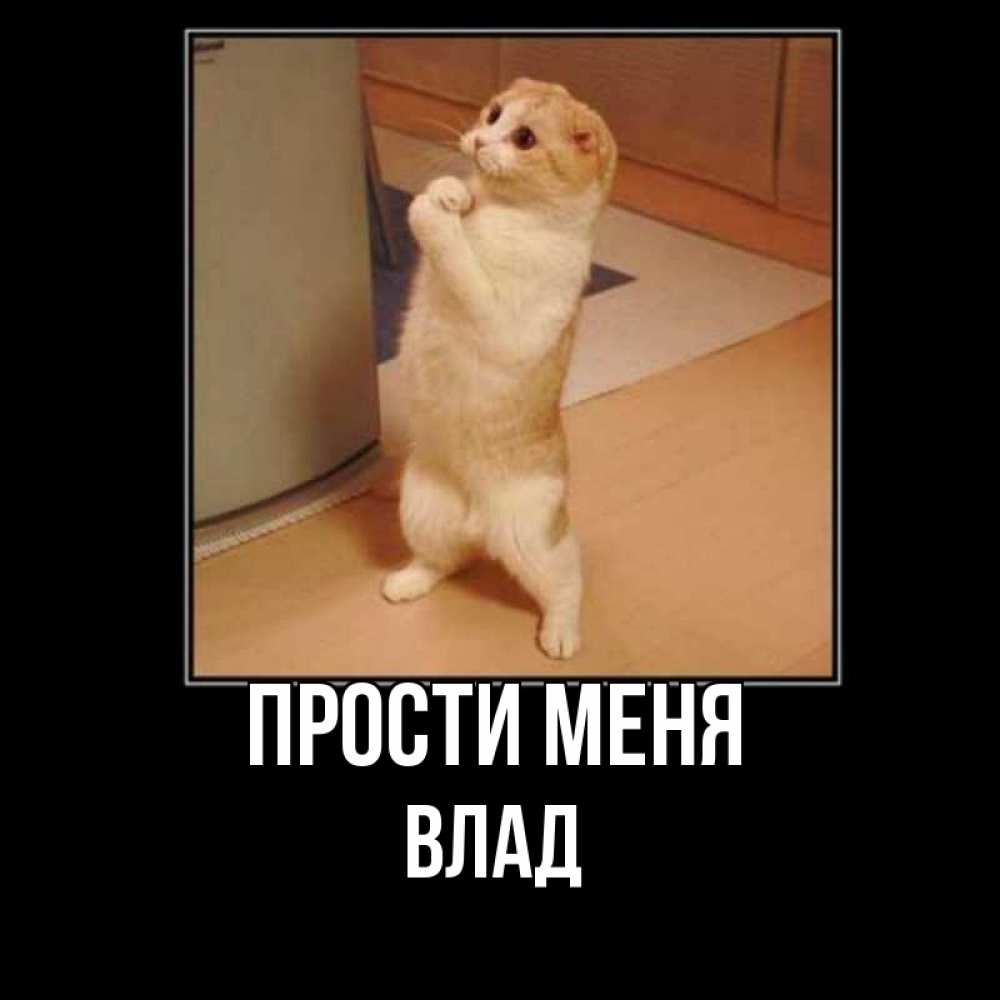 Картинка Прости меня, Влад