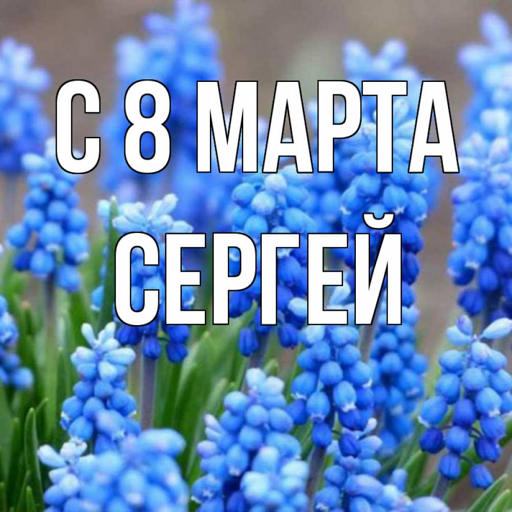 Открытка на каждый день с именем, Сергей С 8 марта Поздравительная открытка для женщин с цветами на праздничную дату Прикольная открытка с пожеланием онлайн скачать бесплатно 