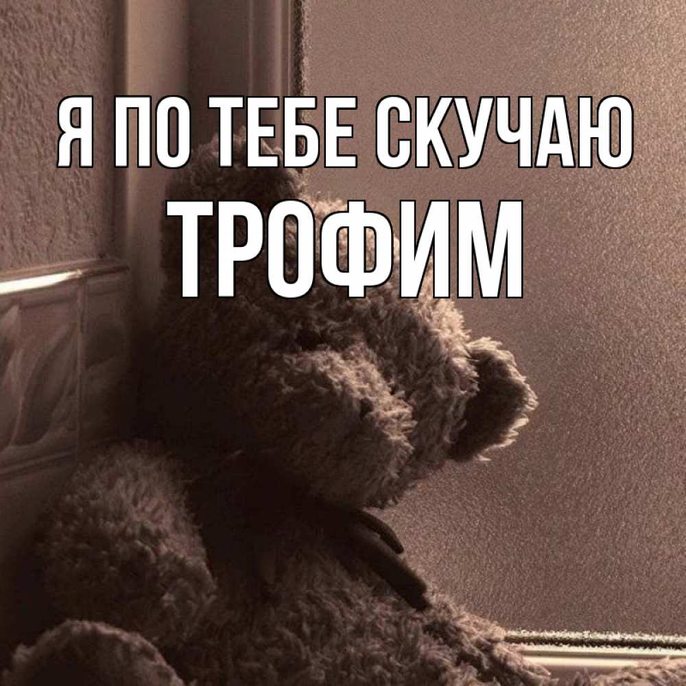 Открытка на каждый день с именем, Трофим Я по тебе скучаю скучаем тут Прикольная открытка с пожеланием онлайн скачать бесплатно 