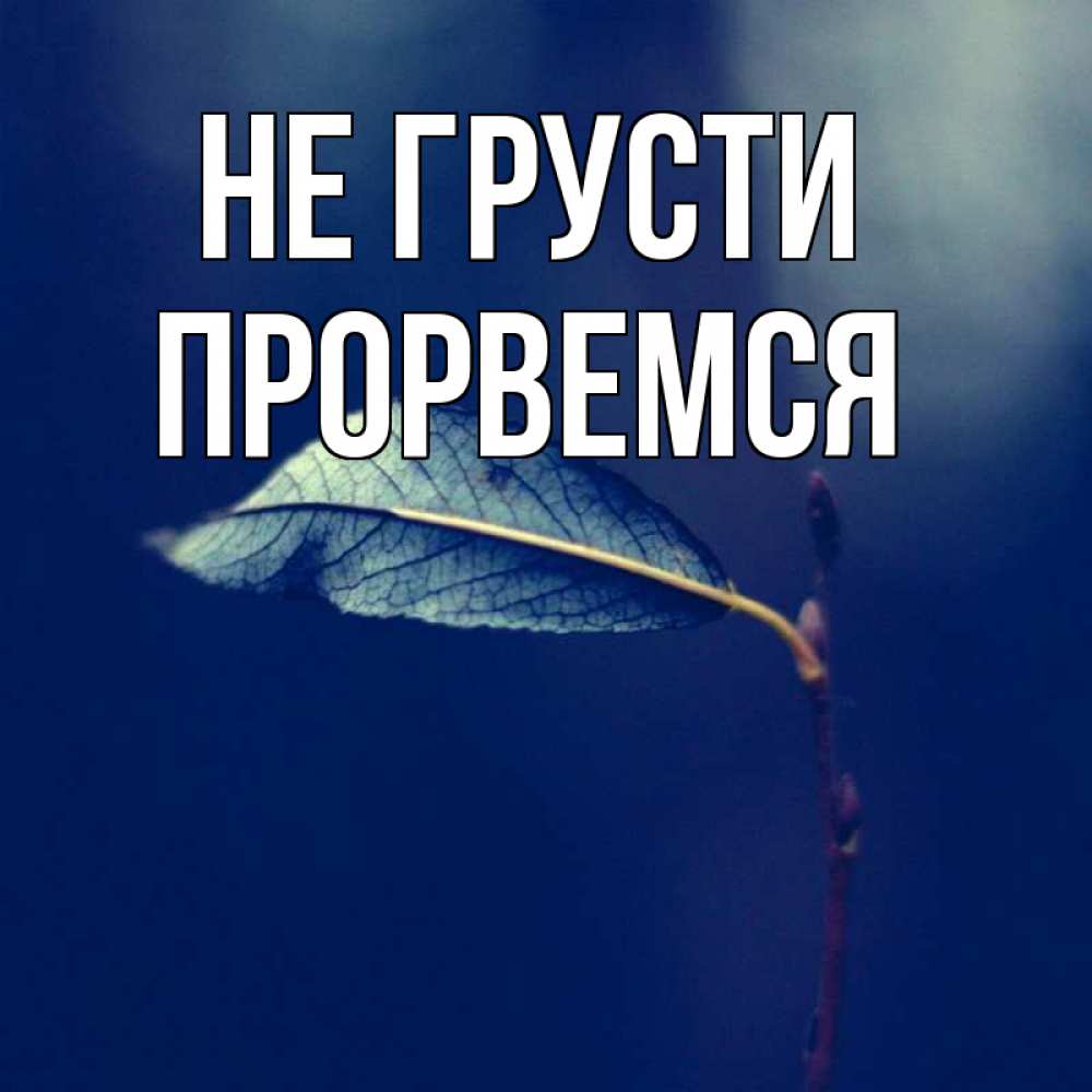 Картинка прорвемся все будет хорошо