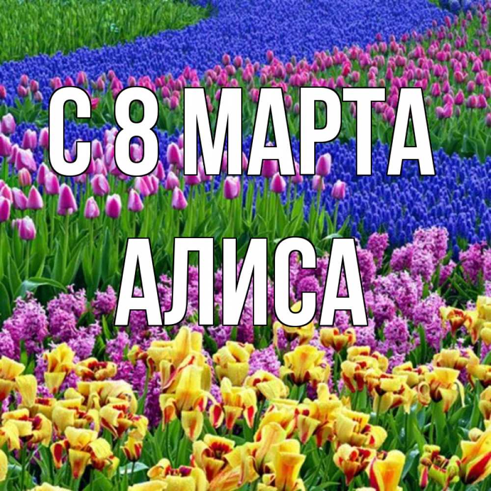 Открытка на каждый день с именем, Алиса С 8 МАРТА цветы Прикольная открытка с пожеланием онлайн скачать бесплатно 