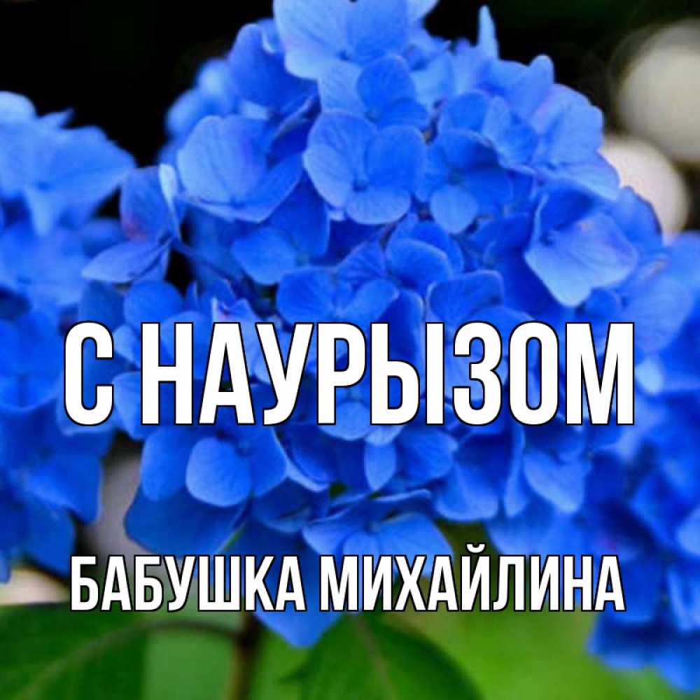 Открытка на каждый день с именем, Бабушка-Михайлина С наурызом синие цветы Прикольная открытка с пожеланием онлайн скачать бесплатно 