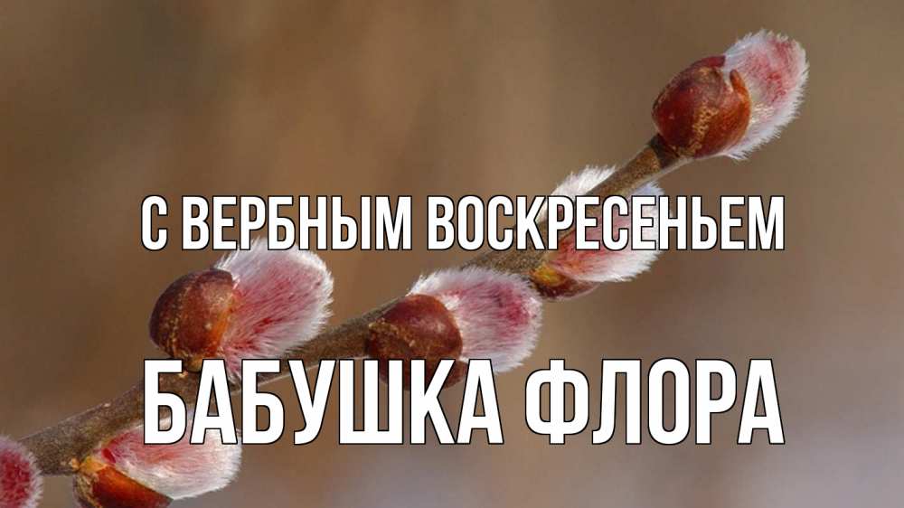 Открытка на каждый день с именем, Бабушка-Флора С вербным воскресеньем верба Прикольная открытка с пожеланием онлайн скачать бесплатно 