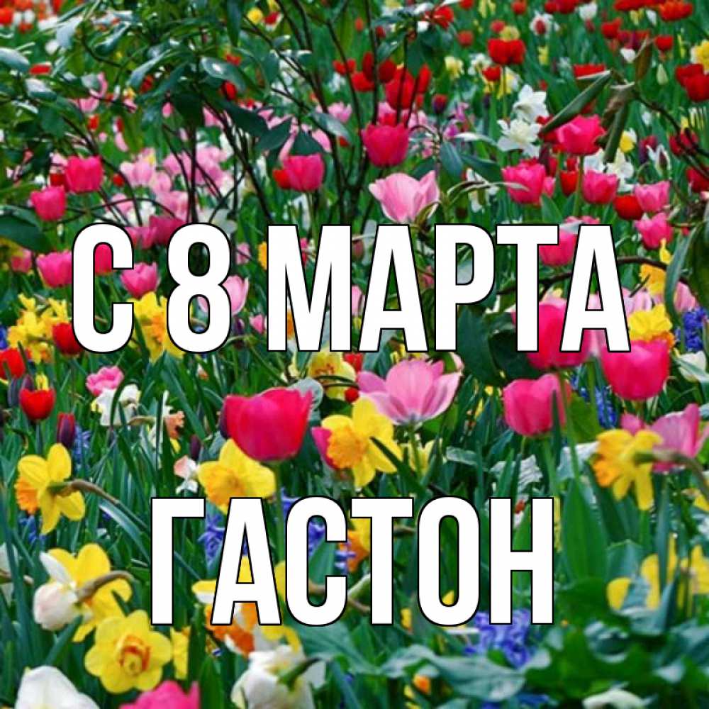 Открытка на каждый день с именем, Гастон С 8 МАРТА с международным женским днем поздравления для женщины Прикольная открытка с пожеланием онлайн скачать бесплатно 
