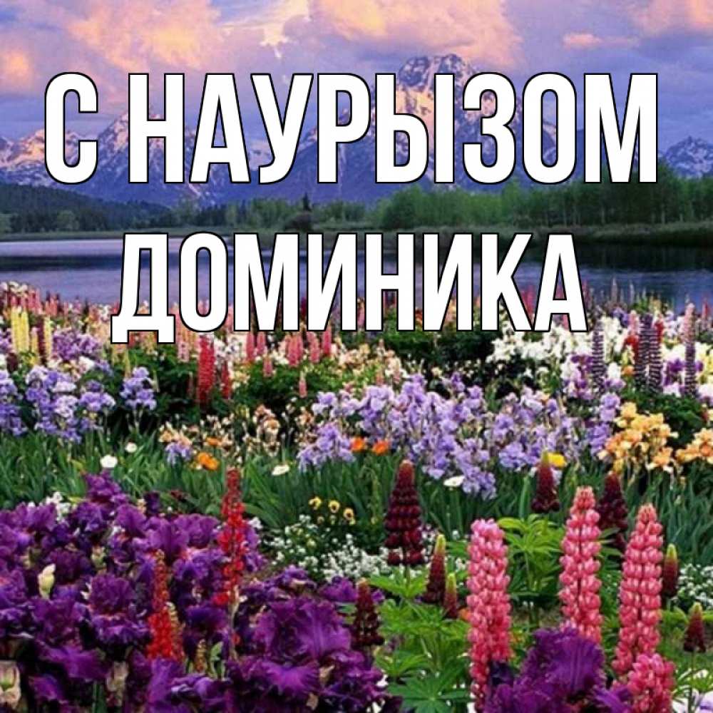 Открытка на каждый день с именем, Доминика С наурызом праздник весны наурыз Прикольная открытка с пожеланием онлайн скачать бесплатно 
