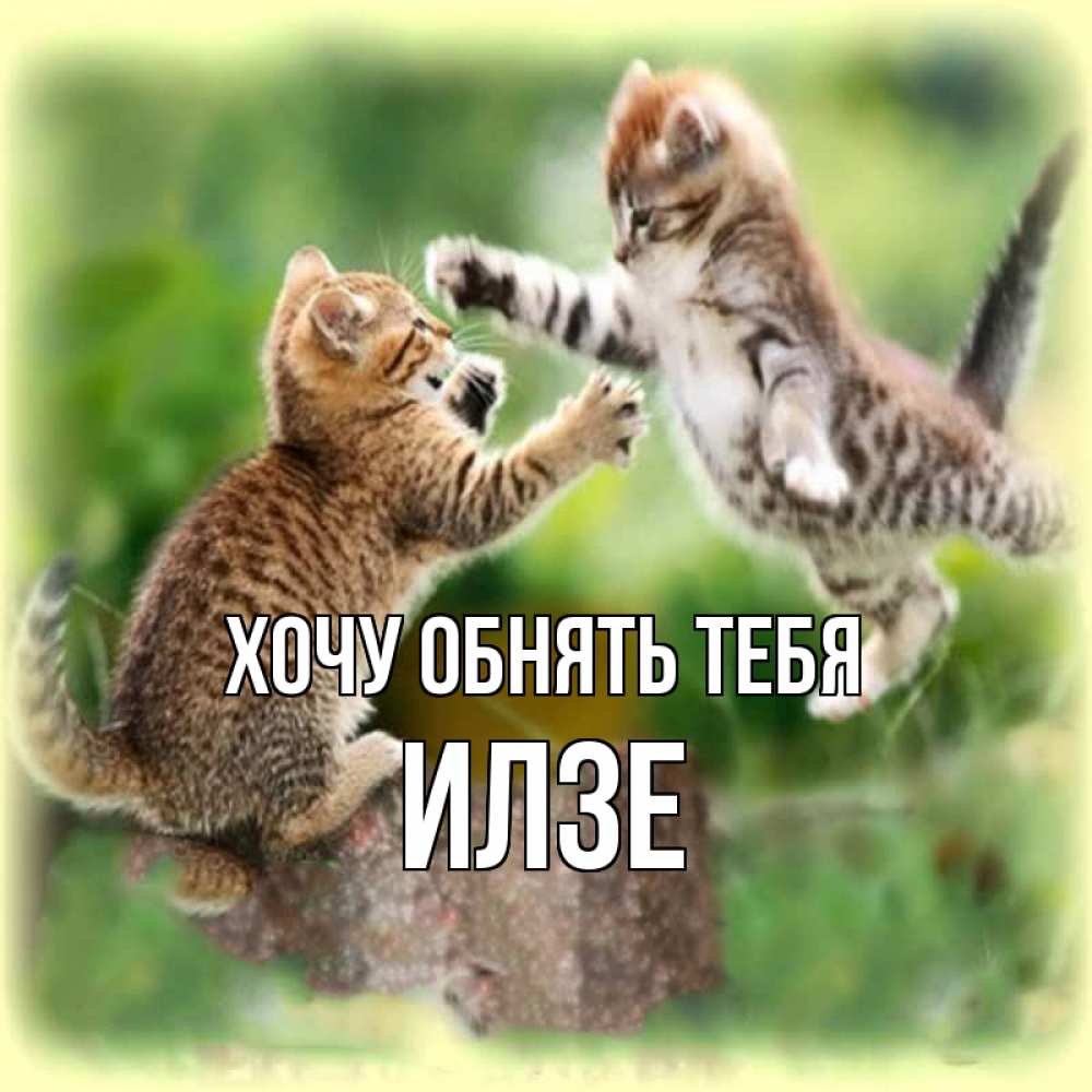 Открытка на каждый день с именем, Илзе Хочу обнять тебя игры котят Прикольная открытка с пожеланием онлайн скачать бесплатно 