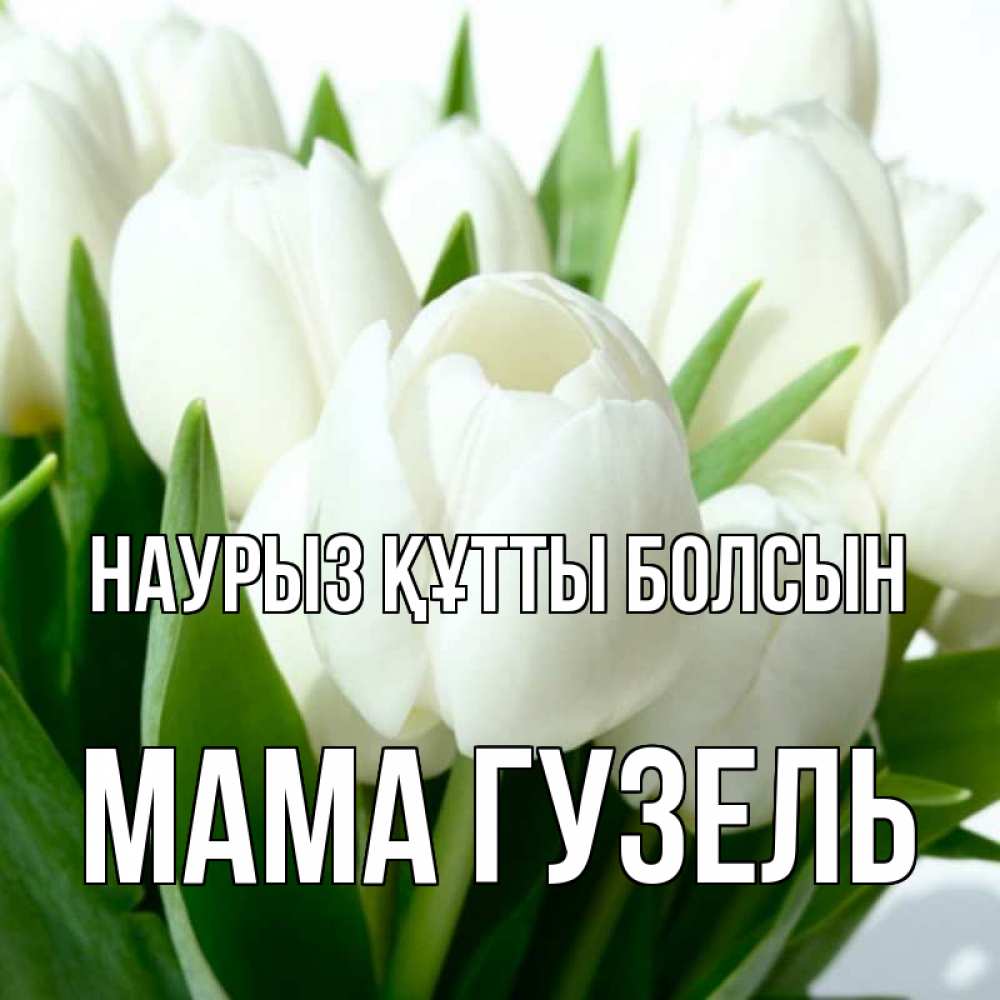 Открытка на каждый день с именем, Мама-Гузель Наурыз құтты болсын цветы Прикольная открытка с пожеланием онлайн скачать бесплатно 
