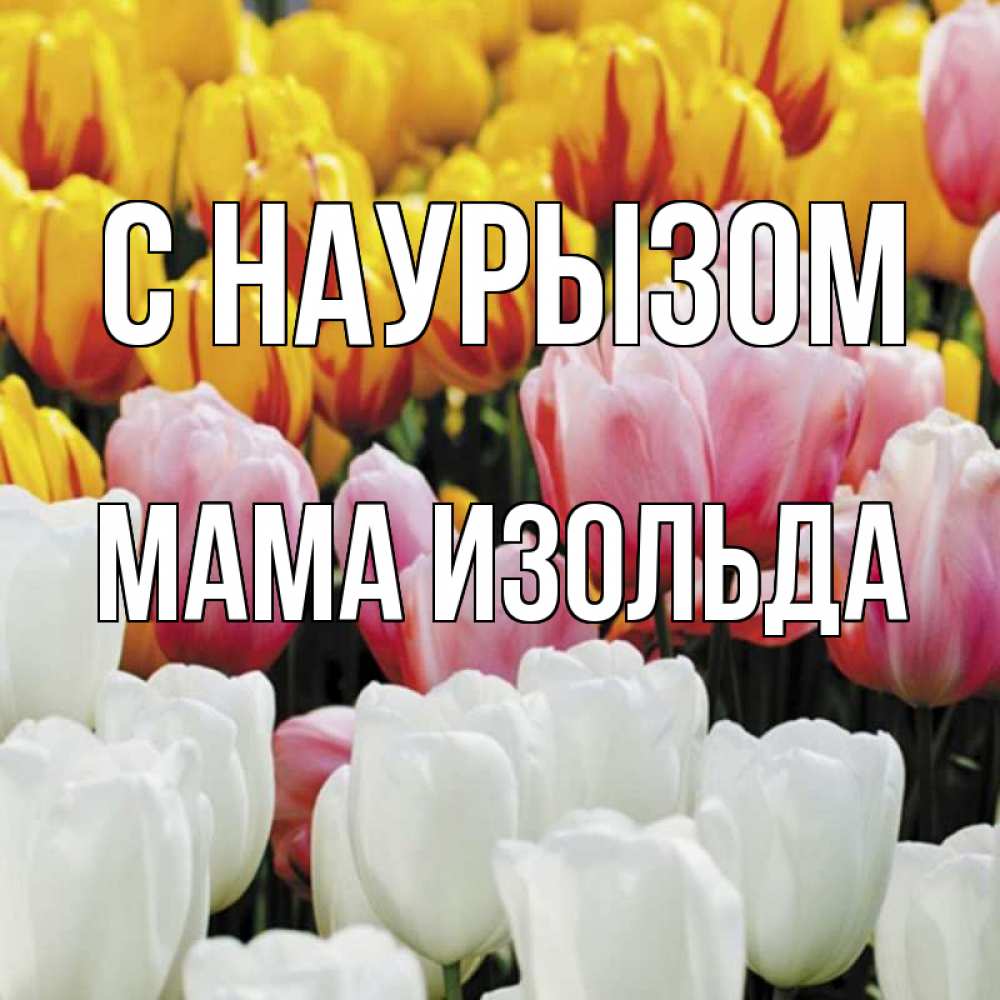 Открытка на каждый день с именем, Мама-Изольда С наурызом разноцветные цветы Прикольная открытка с пожеланием онлайн скачать бесплатно 