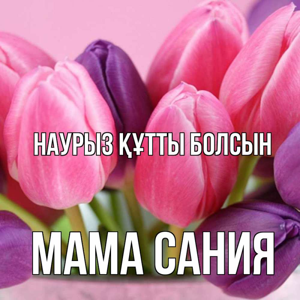 Открытка на каждый день с именем, Мама-Сания Наурыз құтты болсын маме 1 Прикольная открытка с пожеланием онлайн скачать бесплатно 