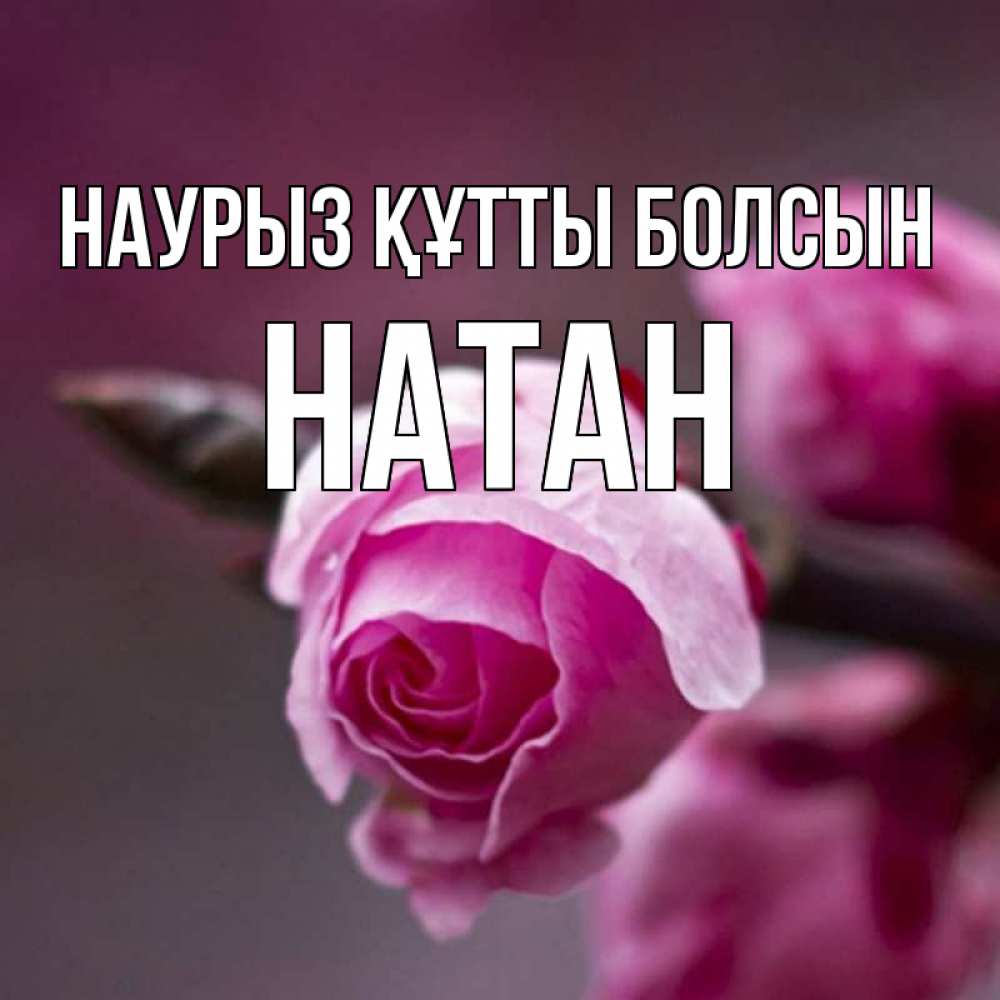 Открытка на каждый день с именем, Натан Наурыз құтты болсын весна Прикольная открытка с пожеланием онлайн скачать бесплатно 