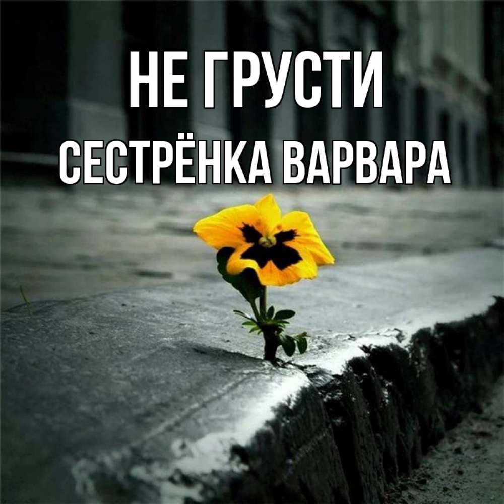 Открытка на каждый день с именем, Сестрёнка-Варвара Не грусти не сдавайся Прикольная открытка с пожеланием онлайн скачать бесплатно 