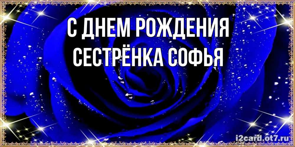 Открытка на каждый день с именем, Сестрёнка-Софья С днем рождения голубые цветы в росе Прикольная открытка с пожеланием онлайн скачать бесплатно 