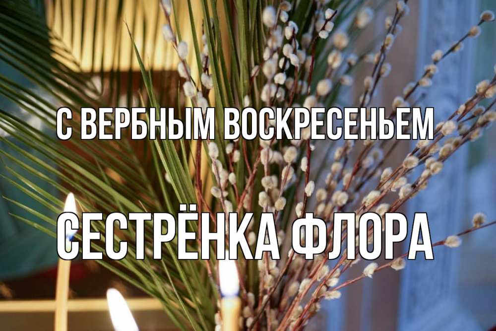 Открытка на каждый день с именем, Сестрёнка-Флора С вербным воскресеньем верба Прикольная открытка с пожеланием онлайн скачать бесплатно 