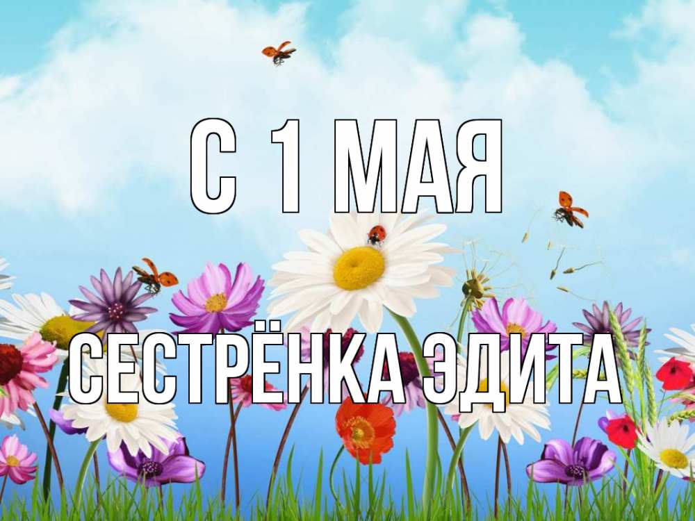 Открытка на каждый день с именем, Сестрёнка-Эдита С 1 мая С 1 мая Прикольная открытка с пожеланием онлайн скачать бесплатно 