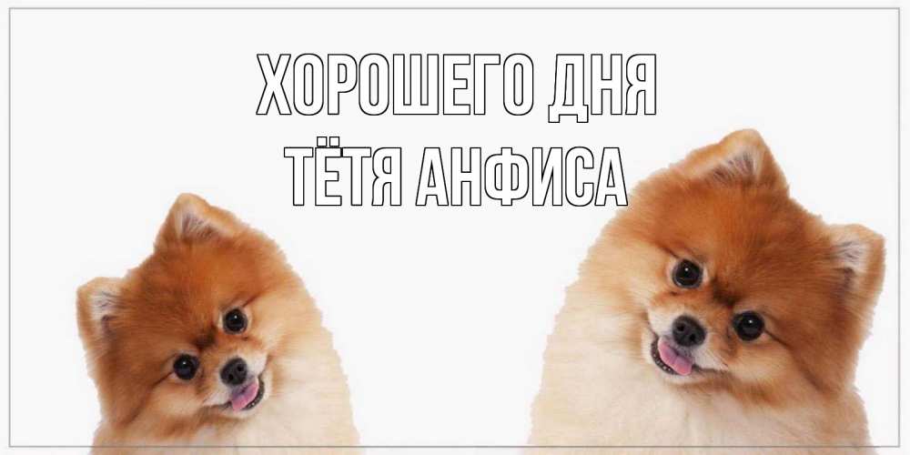 Открытка на каждый день с именем, Тётя-Анфиса Хорошего дня собачки желают прекрасного дня Прикольная открытка с пожеланием онлайн скачать бесплатно 