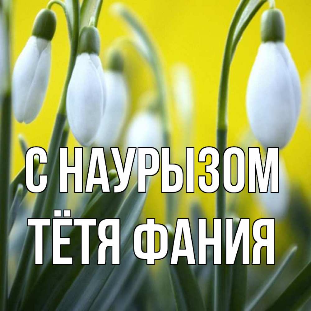 Открытка на каждый день с именем, Тётя-Фания С наурызом весенние цветы Прикольная открытка с пожеланием онлайн скачать бесплатно 
