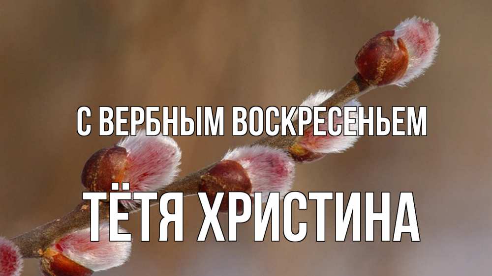 Открытка на каждый день с именем, Тётя-Христина С вербным воскресеньем верба Прикольная открытка с пожеланием онлайн скачать бесплатно 