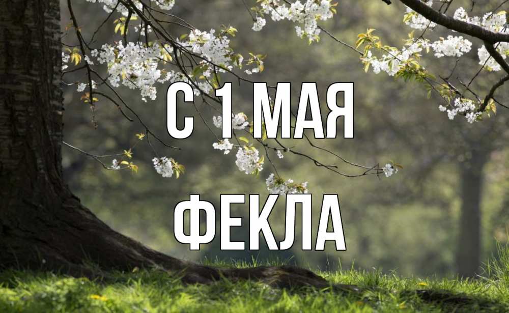 Открытка на каждый день с именем, Фекла С 1 мая С 1 мая Прикольная открытка с пожеланием онлайн скачать бесплатно 