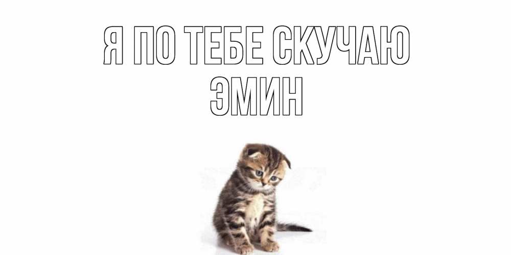 Открытка на каждый день с именем, Эмин Я по тебе скучаю кот Прикольная открытка с пожеланием онлайн скачать бесплатно 