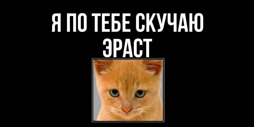 Открытка на каждый день с именем, Эраст Я по тебе скучаю открытки рыжий котенок скучает по тебе Прикольная открытка с пожеланием онлайн скачать бесплатно 