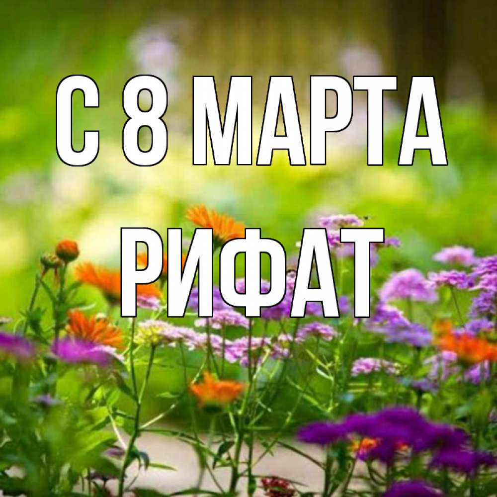 Открытка на каждый день с именем, Рифат С 8 марта цветы Прикольная открытка с пожеланием онлайн скачать бесплатно 
