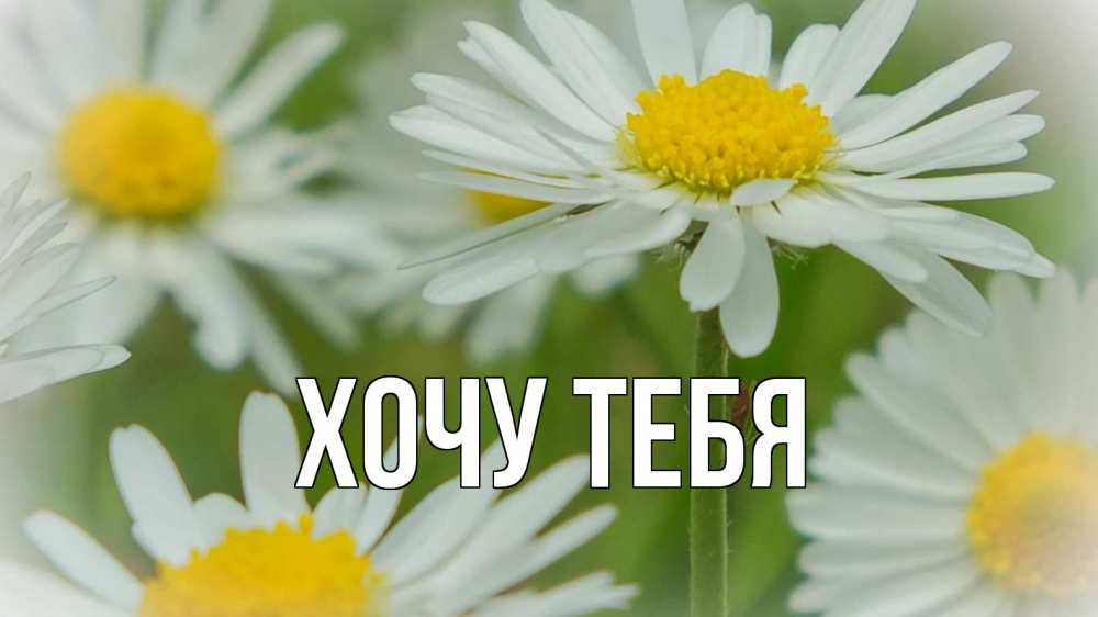Открытка на каждый день с именем, Хочу-тебя Главная с днем семьи  1 Прикольная открытка с пожеланием онлайн скачать бесплатно 