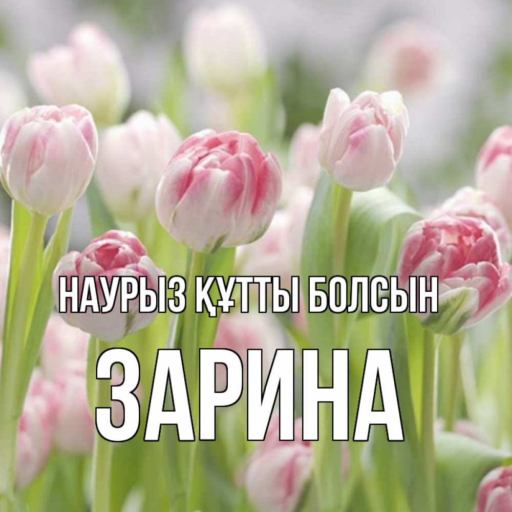 Открытка на каждый день с именем, Зарина Наурыз құтты болсын цветы Прикольная открытка с пожеланием онлайн скачать бесплатно 