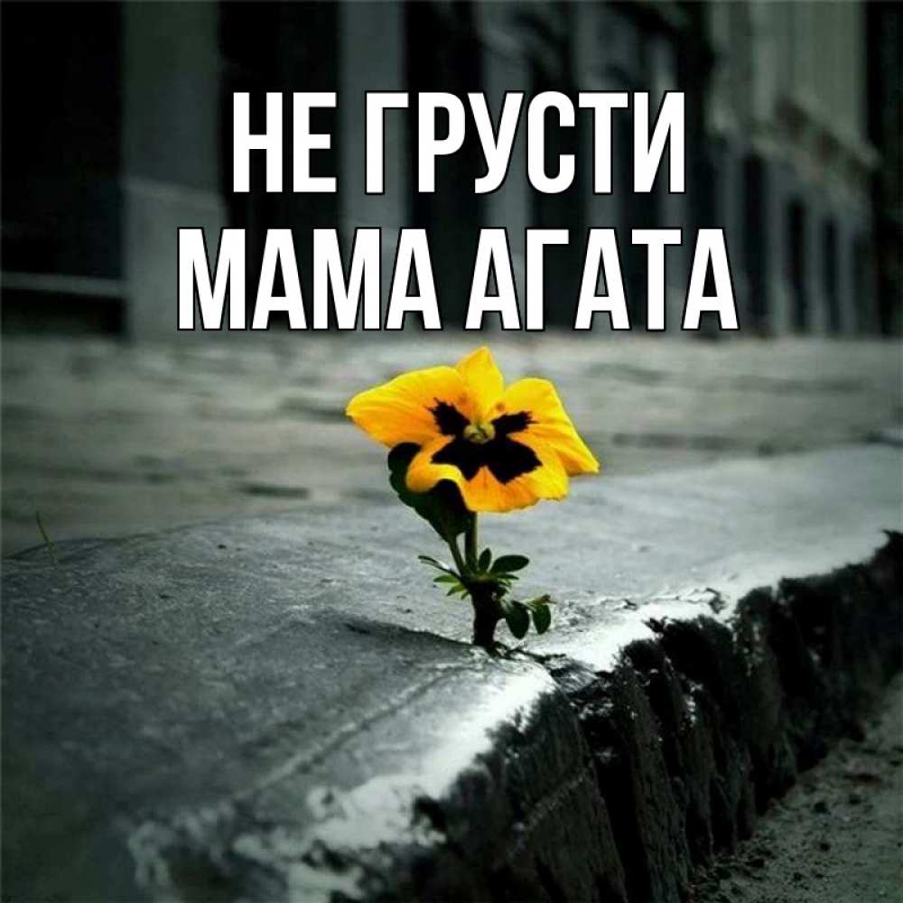Открытка на каждый день с именем, Мама-Агата Не грусти не сдавайся Прикольная открытка с пожеланием онлайн скачать бесплатно 