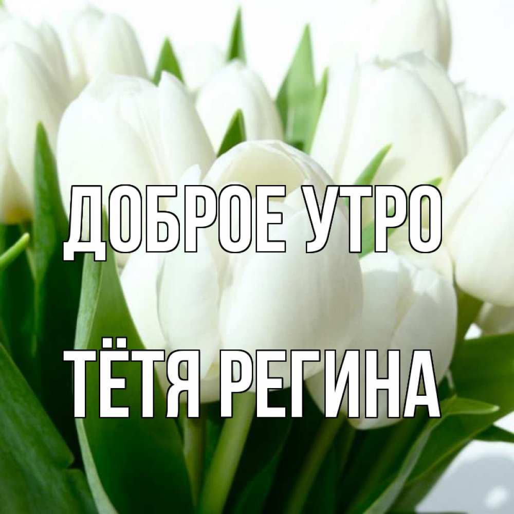 Открытка на каждый день с именем, Тётя-Регина Доброе утро открытки на каждый день по именам Прикольная открытка с пожеланием онлайн скачать бесплатно 