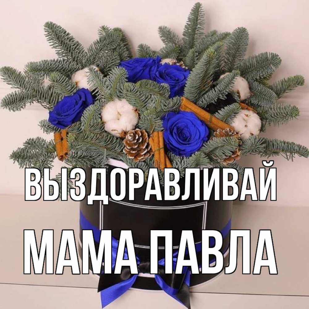 Открытка на каждый день с именем, Мама-Павла Выздоравливай короче кто то загрузил эти шишки Прикольная открытка с пожеланием онлайн скачать бесплатно 