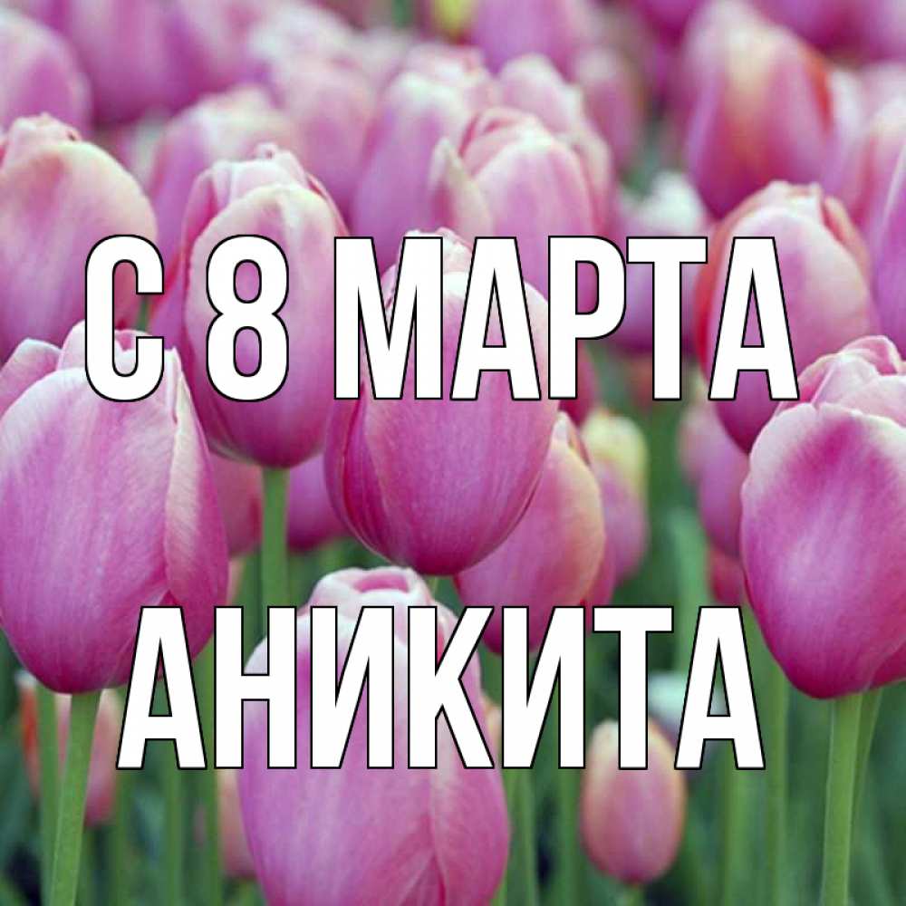 Открытка на каждый день с именем, Аникита С 8 марта на международный женский день 3 Прикольная открытка с пожеланием онлайн скачать бесплатно 