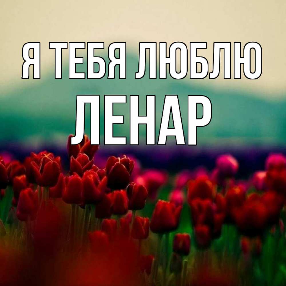 Открытка на каждый день с именем, Ленар Я тебя люблю тюльпаны 4 Прикольная открытка с пожеланием онлайн скачать бесплатно 