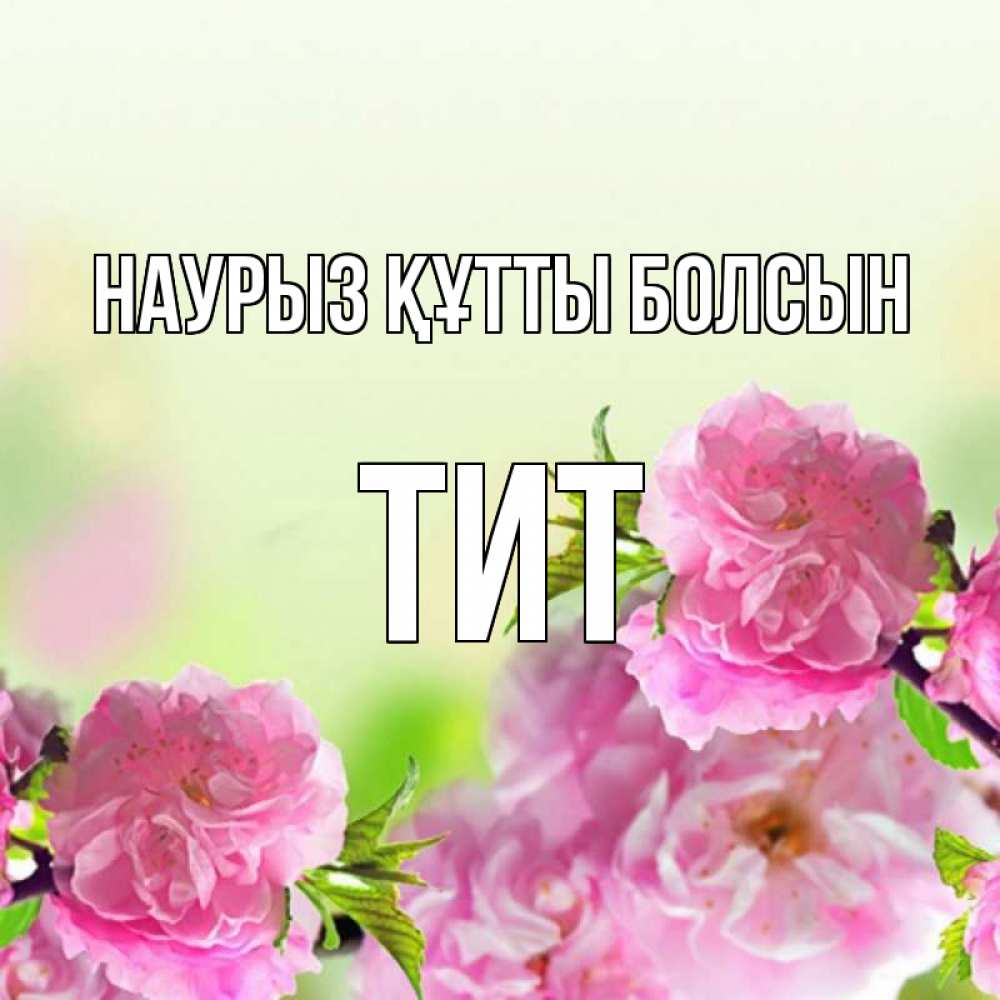 Открытка на каждый день с именем, Тит Наурыз құтты болсын цветы Прикольная открытка с пожеланием онлайн скачать бесплатно 