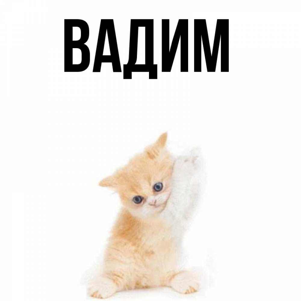 Открытки с именами вадим