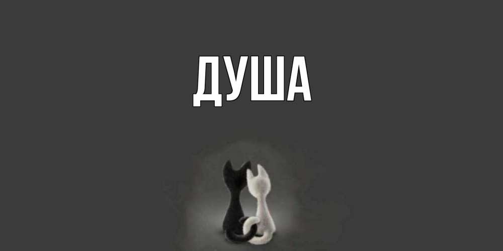 Открытка на каждый день с именем, Душа Главная коты Прикольная открытка с пожеланием онлайн скачать бесплатно 