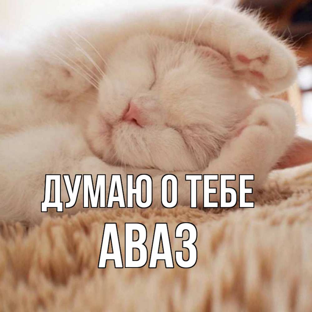 Открытка на каждый день с именем, Аваз Думаю о тебе для любимой девушки милота Прикольная открытка с пожеланием онлайн скачать бесплатно 