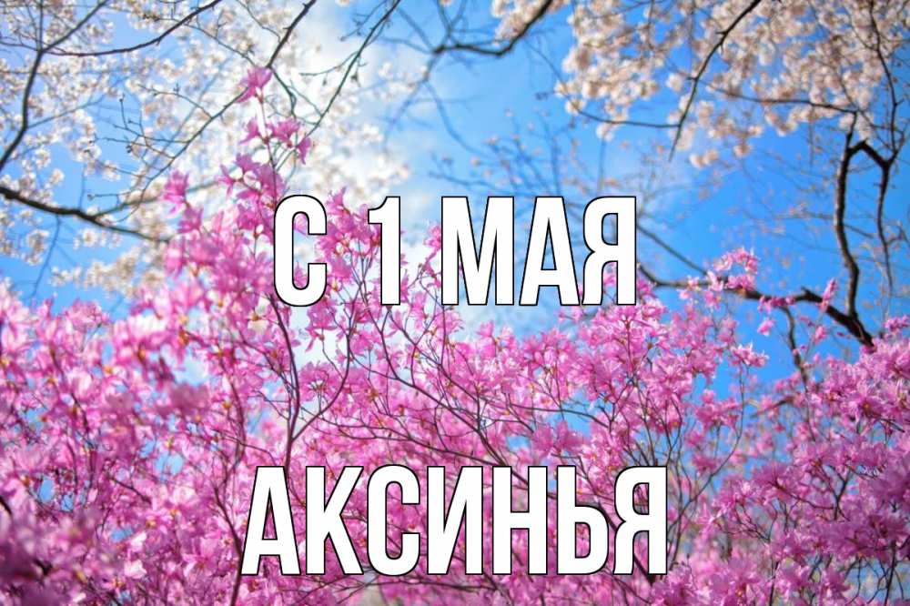 Открытка на каждый день с именем, Аксинья С 1 мая С 1 мая Прикольная открытка с пожеланием онлайн скачать бесплатно 