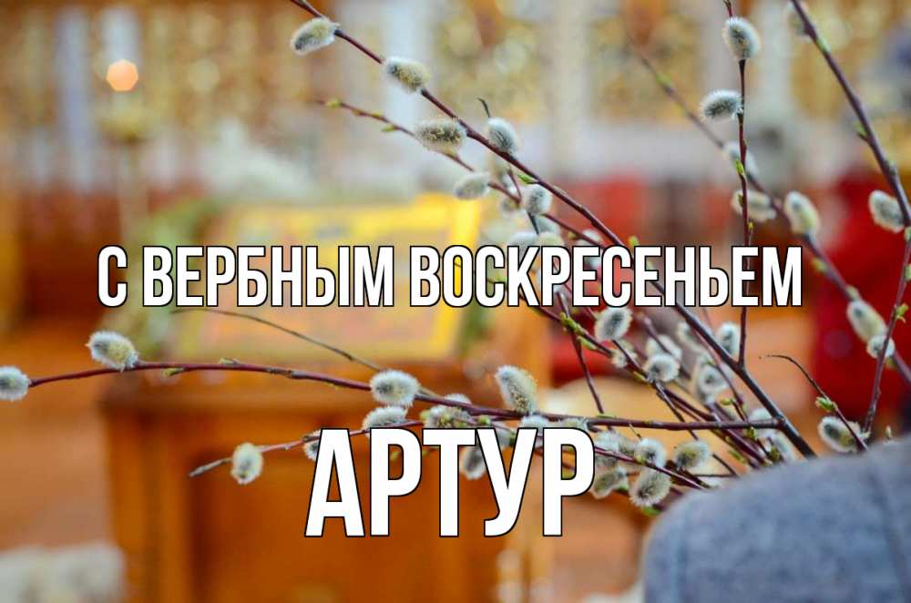 Открытка на каждый день с именем, Артур С вербным воскресеньем верба Прикольная открытка с пожеланием онлайн скачать бесплатно 