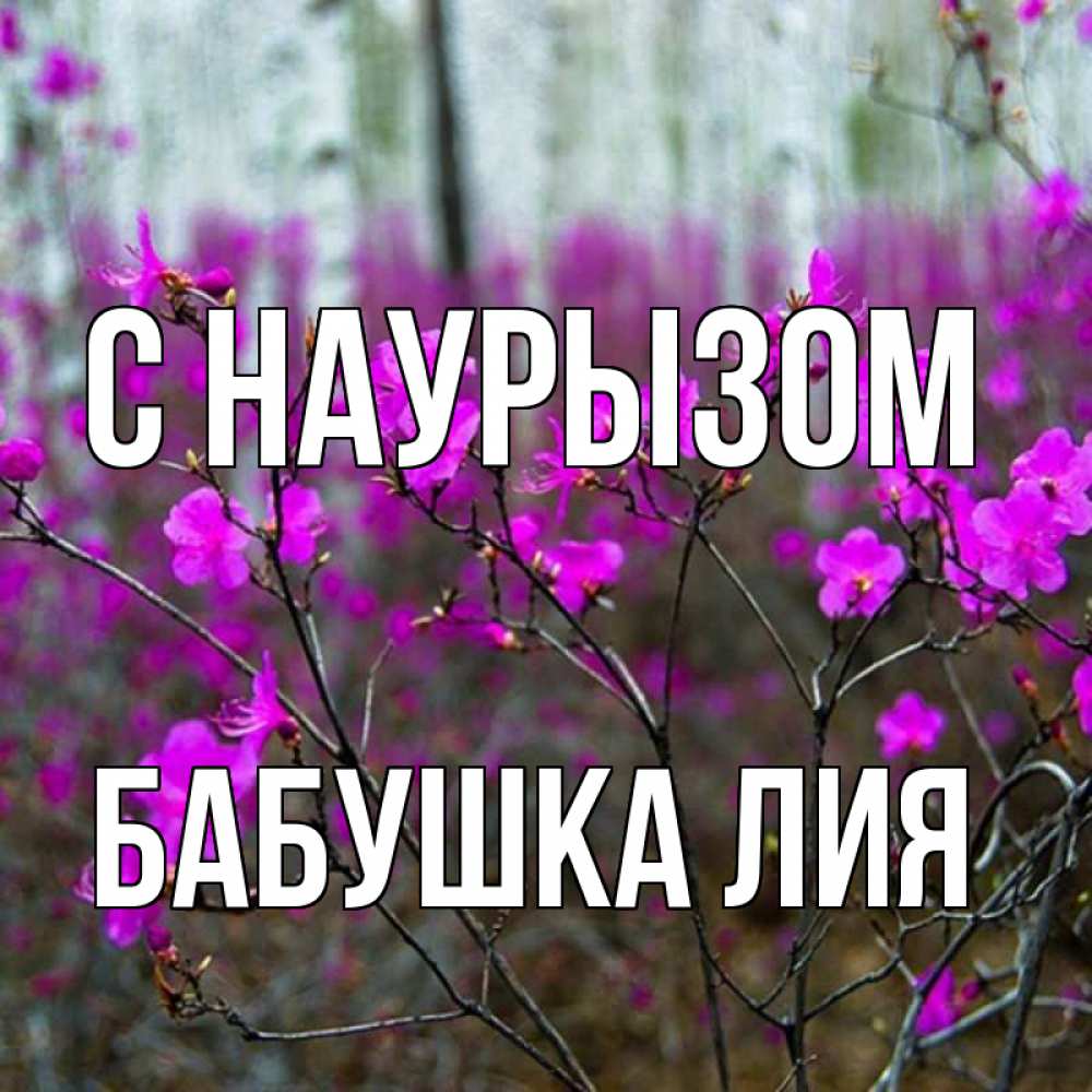 Открытка на каждый день с именем, Бабушка-Лия С наурызом дикие цветы Прикольная открытка с пожеланием онлайн скачать бесплатно 