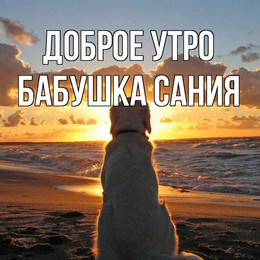 Открытка на каждый день с именем, Бабушка-Сания Доброе утро восход солнца Прикольная открытка с пожеланием онлайн скачать бесплатно 