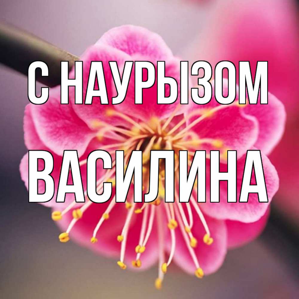 Открытка на каждый день с именем, Василина С наурызом цветы Прикольная открытка с пожеланием онлайн скачать бесплатно 