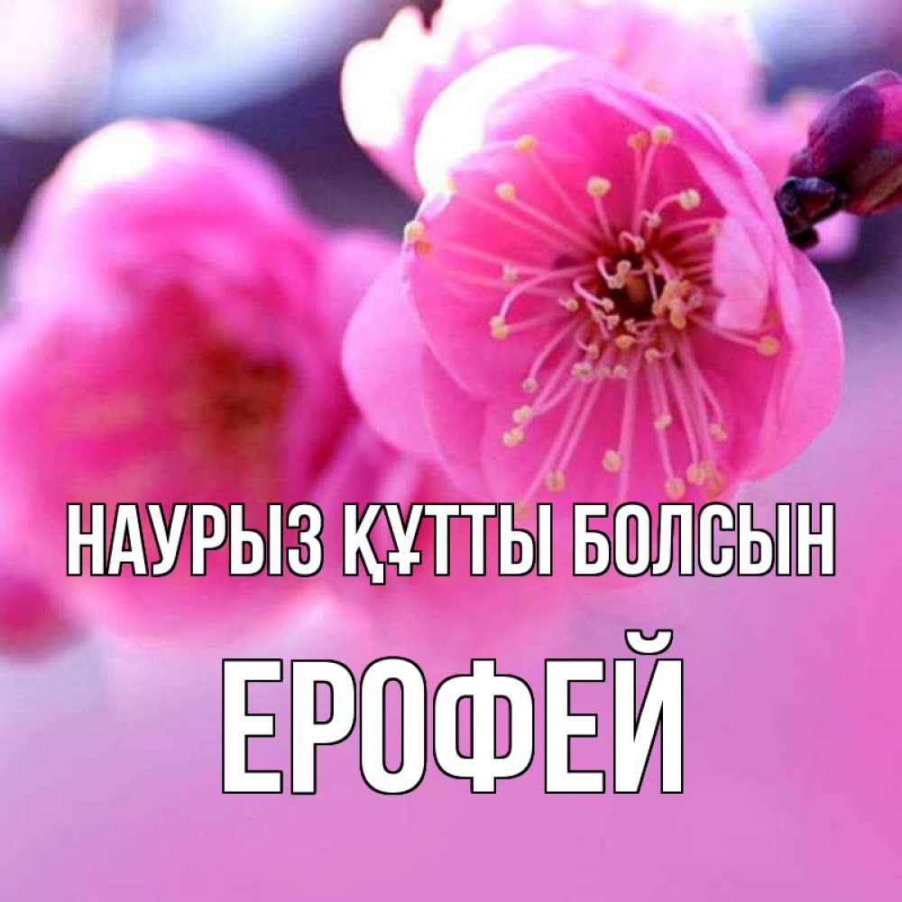 Открытка на каждый день с именем, Ерофей Наурыз құтты болсын наурыз мейрам Прикольная открытка с пожеланием онлайн скачать бесплатно 