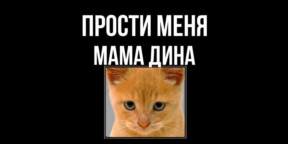 Открытка на каждый день с именем, Мама-Дина Прости меня рыжий грустный кот просит прощения Прикольная открытка с пожеланием онлайн скачать бесплатно 