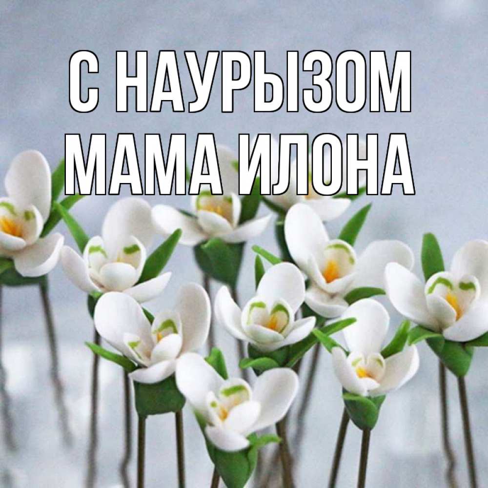 Открытка на каждый день с именем, Мама-Илона С наурызом весенние цветы Прикольная открытка с пожеланием онлайн скачать бесплатно 